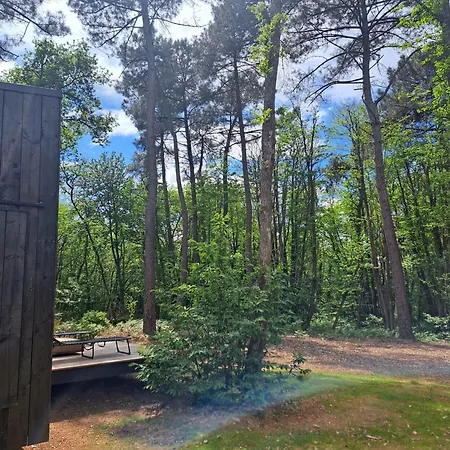 Indebos Domek alpejski *