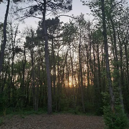 Indebos Sainte-Foy-de-Longas