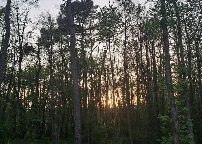 Indebos Sainte-Foy-de-Longas